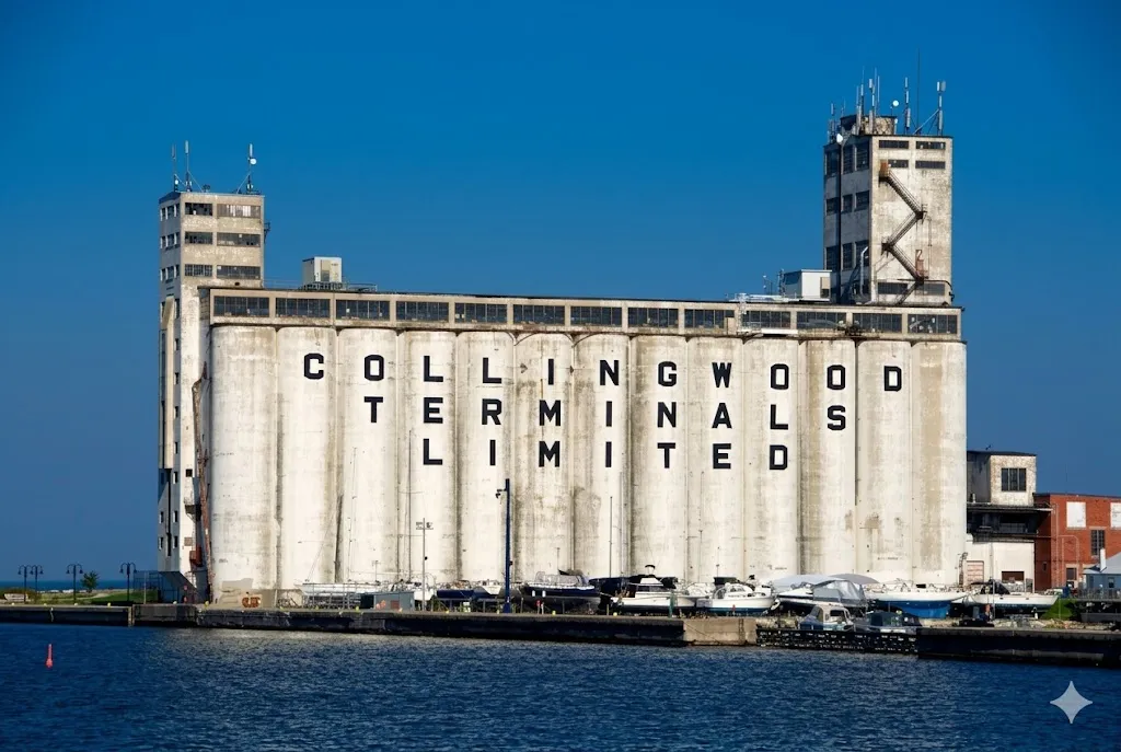 Collingwood, Ontario — website design by DMWD Hosting